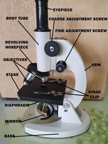 Parts and Function of Microscope - science